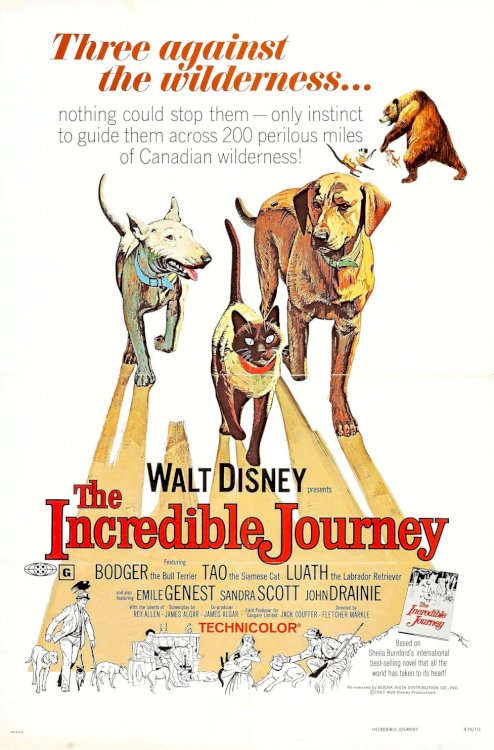 The Incredible Journey - Movie Poster The Incredible Journey - Movie Poster