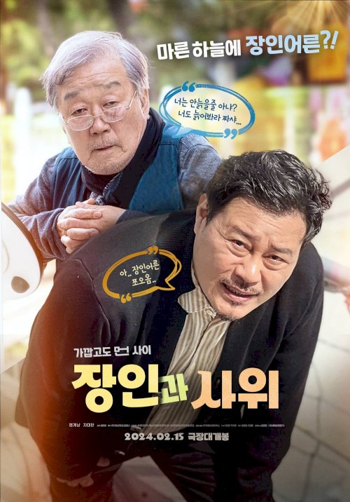 Father-in-law and Son-in-law - Movie Poster
