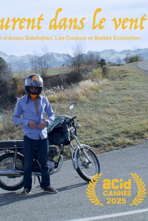 Drifting Laurent - Movie Poster Drifting Laurent - Movie Poster