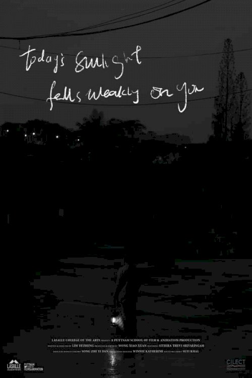 Today's Sunlight Falls Weakly on You - Movie Poster