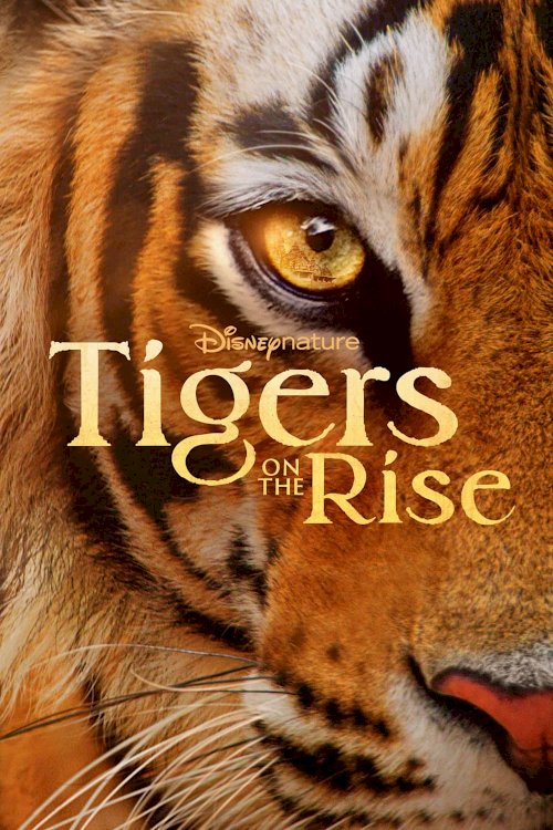 Tigers on the Rise - Movie Poster Tigers on the Rise - Movie Poster