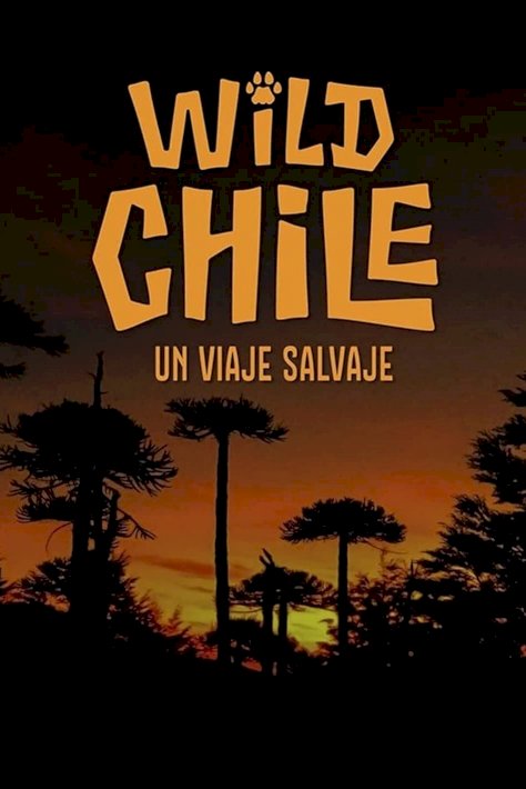 Chile: A Wild Journey - The Special - Movie Poster Chile: A Wild Journey - The Special - Movie Poster