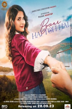 Pyaar Hai Toh Hai - Movie Poster
