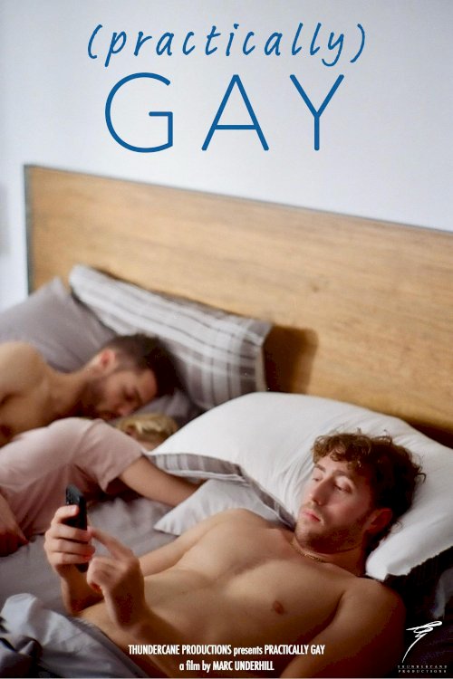 (Practically) Gay - Movie Poster (Practically) Gay - Movie Poster