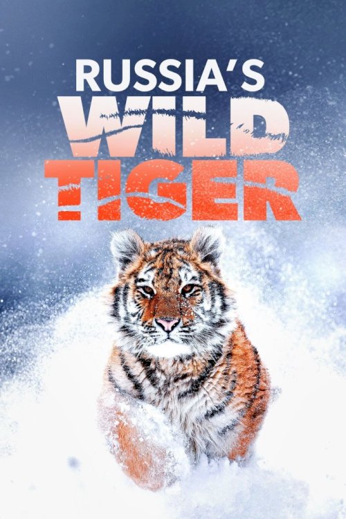 Russia's Wild Tiger - Movie Poster Russia's Wild Tiger - Movie Poster