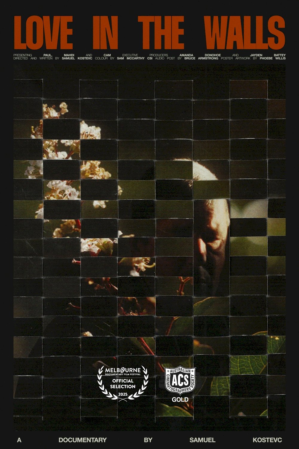 Love in the Walls - Movie Poster Love in the Walls - Movie Poster