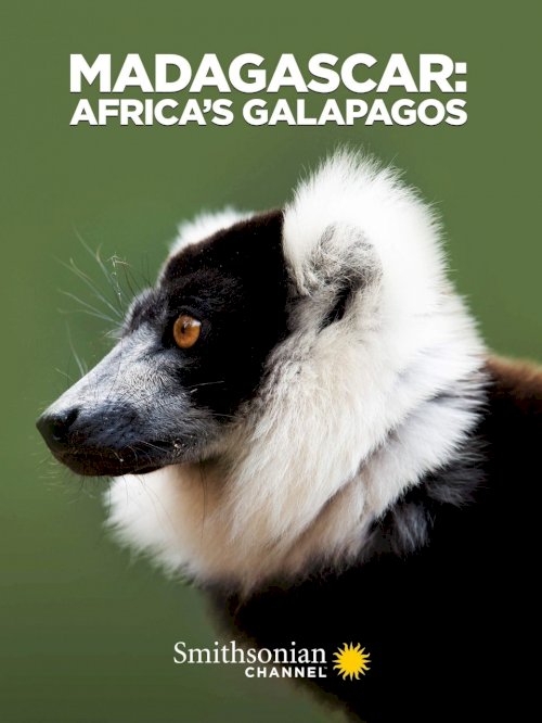 Madagascar: Africa's Galapagos - Movie Poster Madagascar: Africa's Galapagos - Movie Poster