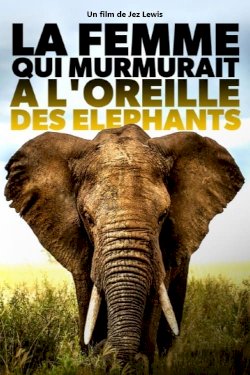 Elephant Mother - Movie Poster Elephant Mother - Movie Poster