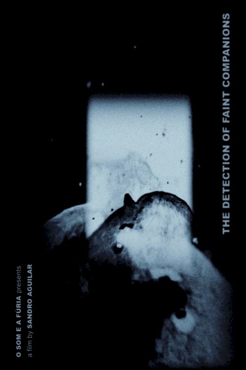 The Detection of Faint Companions - Movie Poster