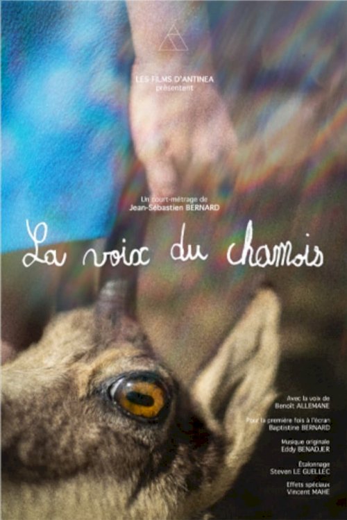 La voix du chamois - Movie Poster La voix du chamois - Movie Poster
