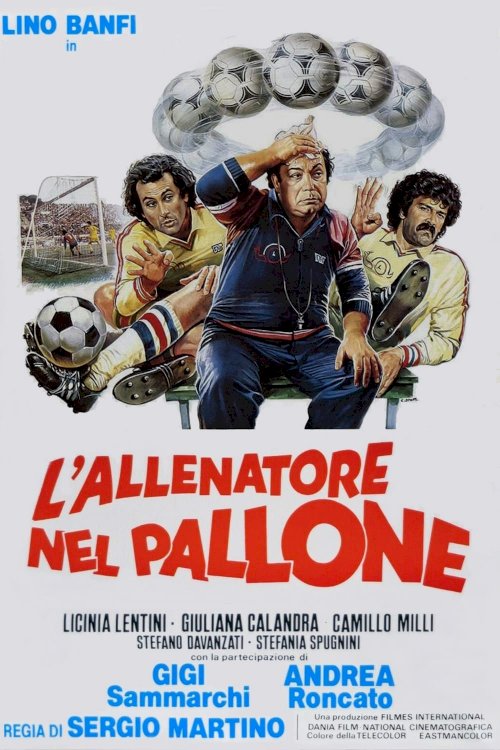 L'allenatore nel pallone - Movie Poster