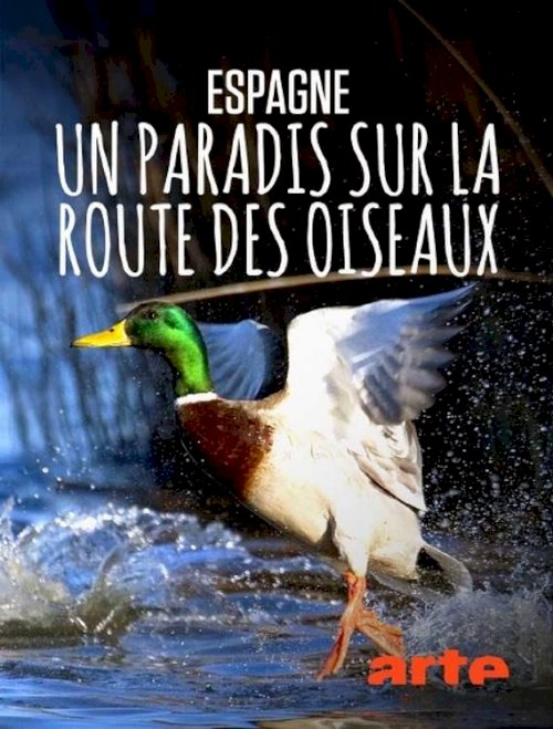 Espagne : un paradis sur la route des oiseaux - Movie Poster Espagne : un paradis sur la route des oiseaux - Movie Poster