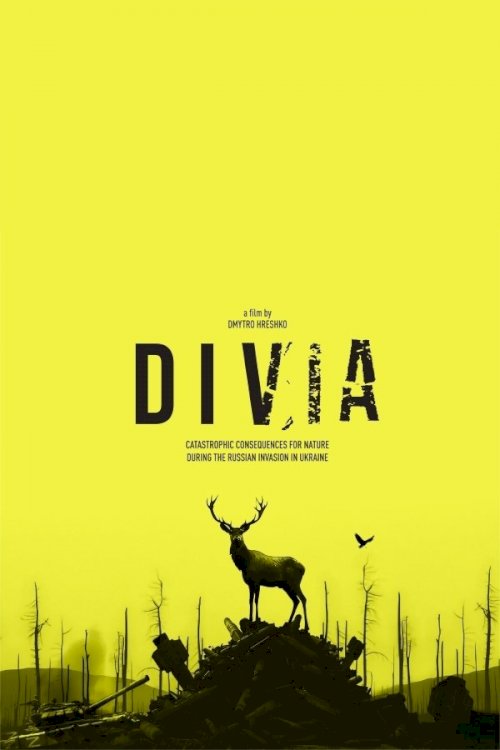 Divia - Movie Poster Divia - Movie Poster