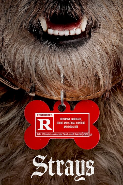 Strays - Movie Poster Strays - Movie Poster