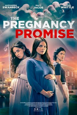 The Pregnancy Promise - Movie Poster