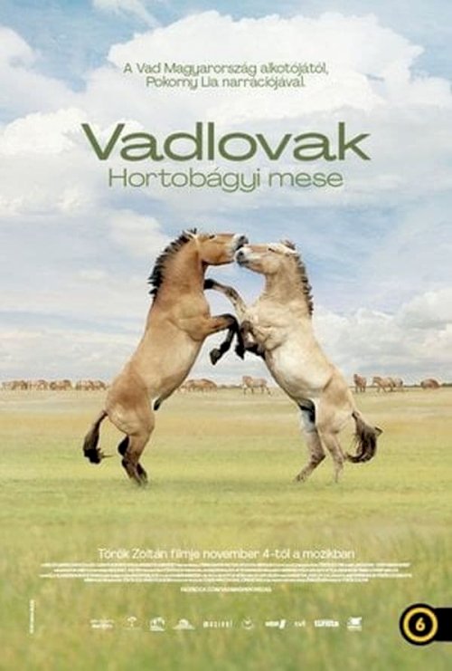 Wild Horses - A Tale From The Puszta - Movie Poster Wild Horses - A Tale From The Puszta - Movie Poster
