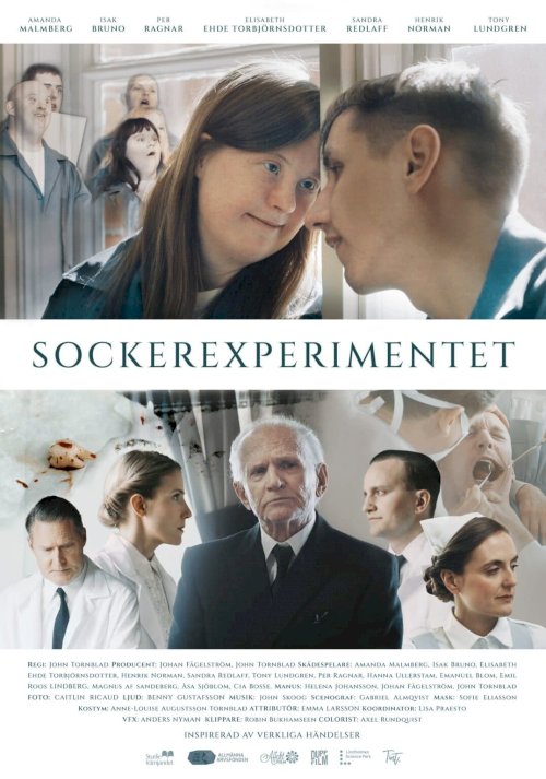 The Sugar Experiment - Movie Poster