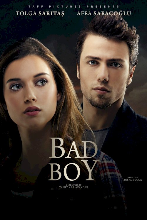 Bad Boy - Movie Poster Bad Boy - Movie Poster