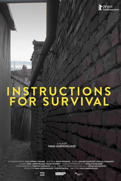 Instructions for Survival - Movie Poster Instructions for Survival - Movie Poster