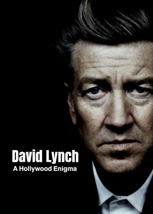 David Lynch, A Hollywood Enigma - Movie Poster David Lynch, A Hollywood Enigma - Movie Poster