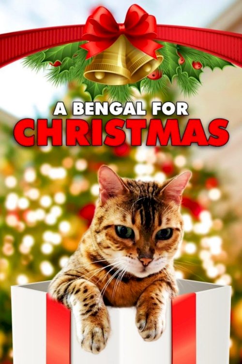 A Bengal for Christmas - Movie Poster A Bengal for Christmas - Movie Poster