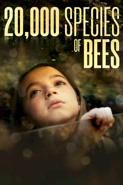20,000 Species of Bees - Movie Poster 20,000 Species of Bees - Movie Poster