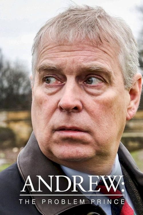Andrew: The Problem Prince - Movie Poster