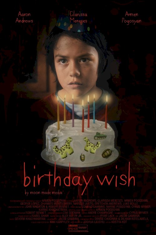 Birthday Wish - Movie Poster