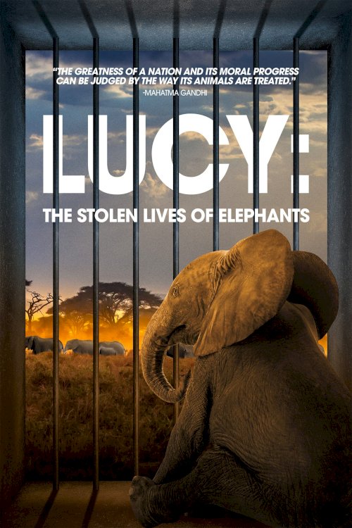 Lucy: The Stolen Lives of Elephants - Movie Poster Lucy: The Stolen Lives of Elephants - Movie Poster
