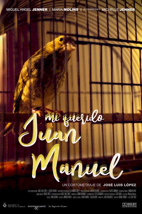 Mi querido Juan Manuel - Movie Poster Mi querido Juan Manuel - Movie Poster