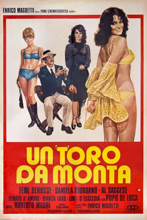 A Bull for Mounts - Movie Poster A Bull for Mounts - Movie Poster