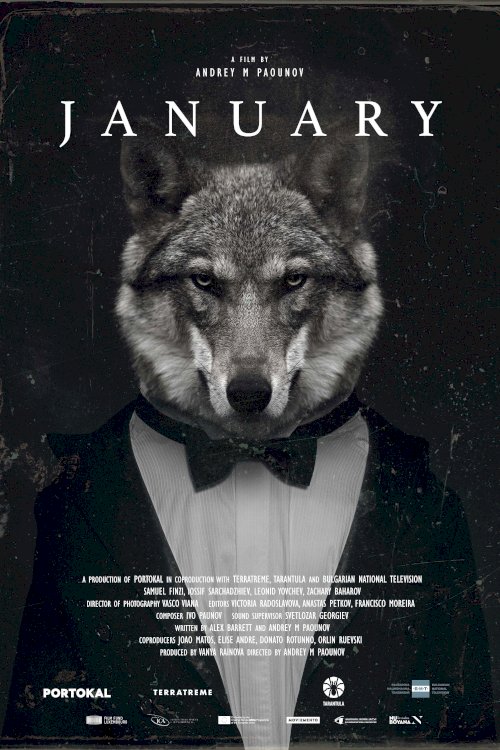 January - Movie Poster January - Movie Poster