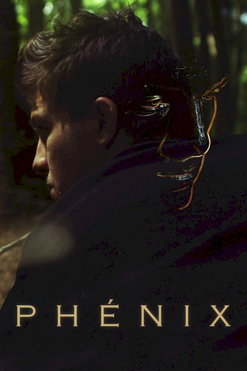 The Phoenix - Movie Poster The Phoenix - Movie Poster
