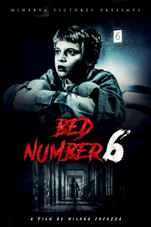 Bed Number 6 - Movie Poster Bed Number 6 - Movie Poster