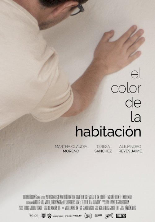 The Color of The Room - Movie Poster