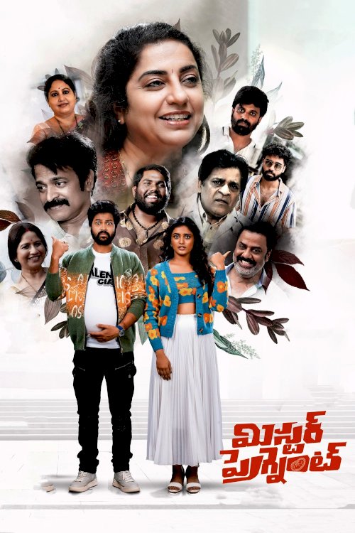 Mr. Pregnant - Movie Poster
