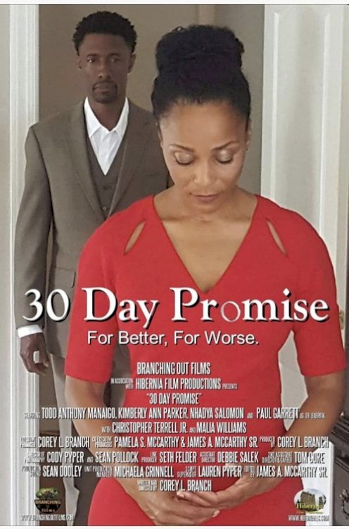 30 Day Promise - Movie Poster 30 Day Promise - Movie Poster