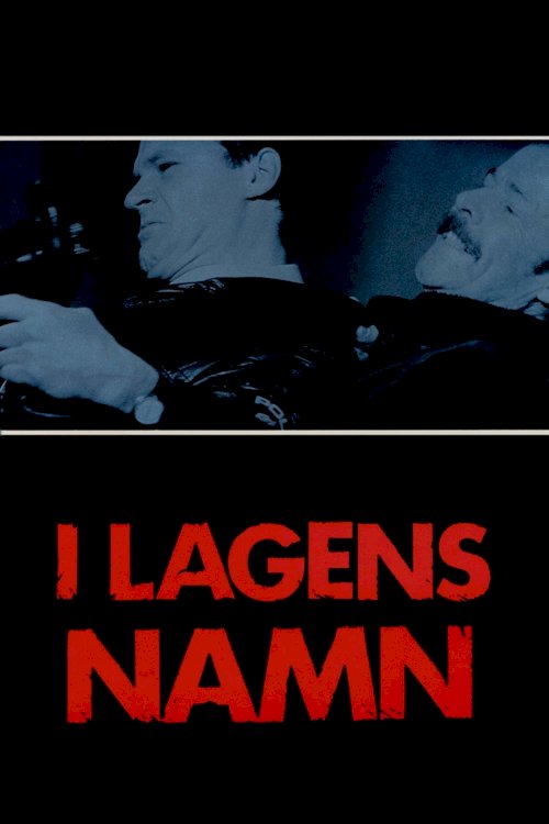 In the Name of the Law - Movie Poster