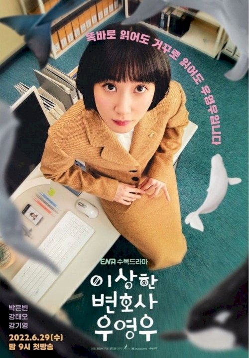 Extraordinary Attorney Woo - Movie Poster