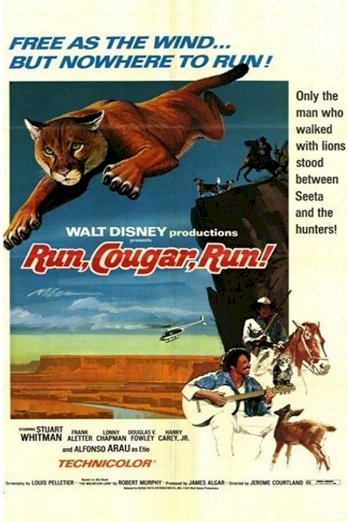 Run, Cougar, Run - Movie Poster Run, Cougar, Run - Movie Poster