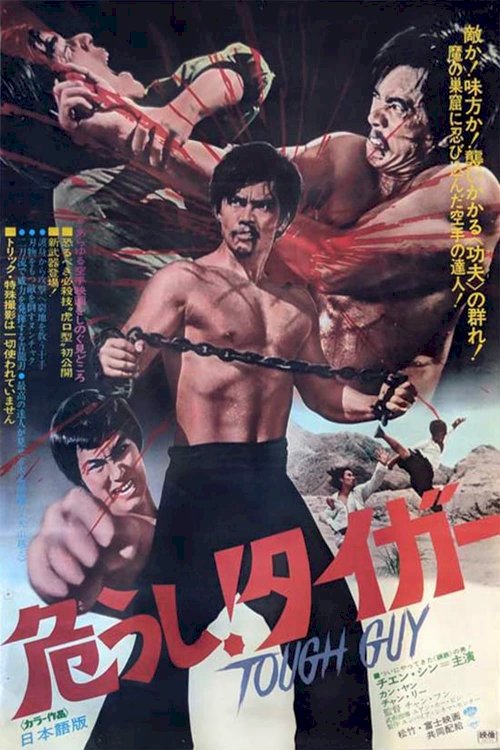 Revenge of the Dragon - Movie Poster Revenge of the Dragon - Movie Poster