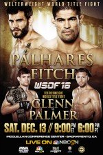 World Series of Fighting 16: Palhares vs. Fitch - Movie Poster