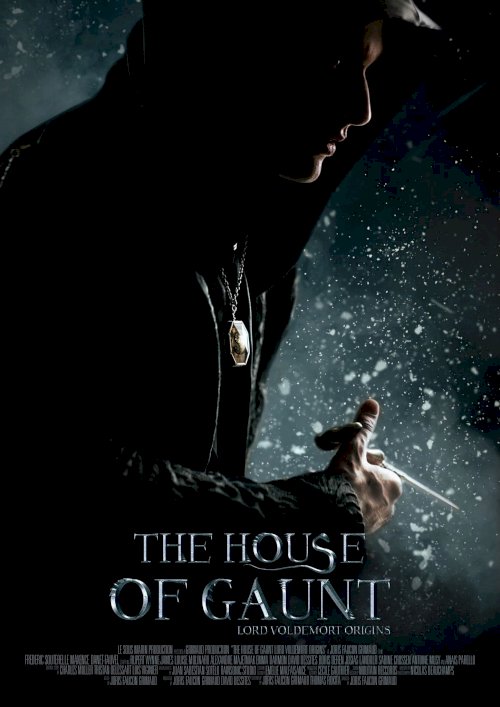 The House of Gaunt Lord Voldemort Origins - Movie Poster