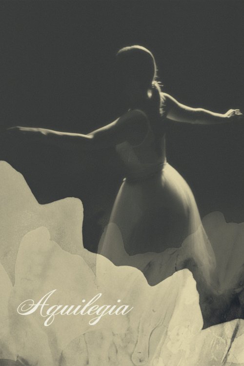 Aquilegia - Movie Poster Aquilegia - Movie Poster