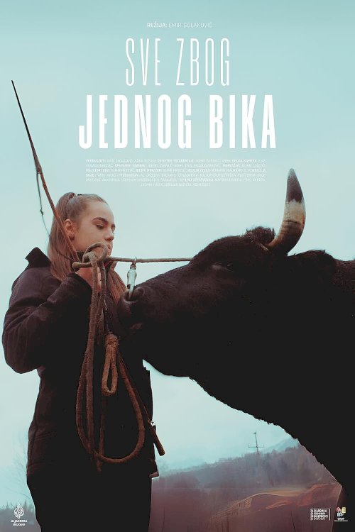 About a Bull - Movie Poster About a Bull - Movie Poster