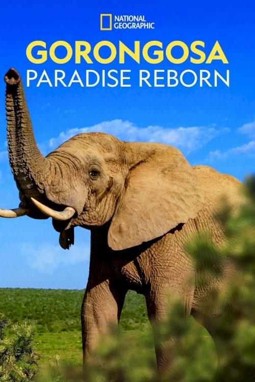 Gorongosa: Paradise Reborn - Movie Poster Gorongosa: Paradise Reborn - Movie Poster