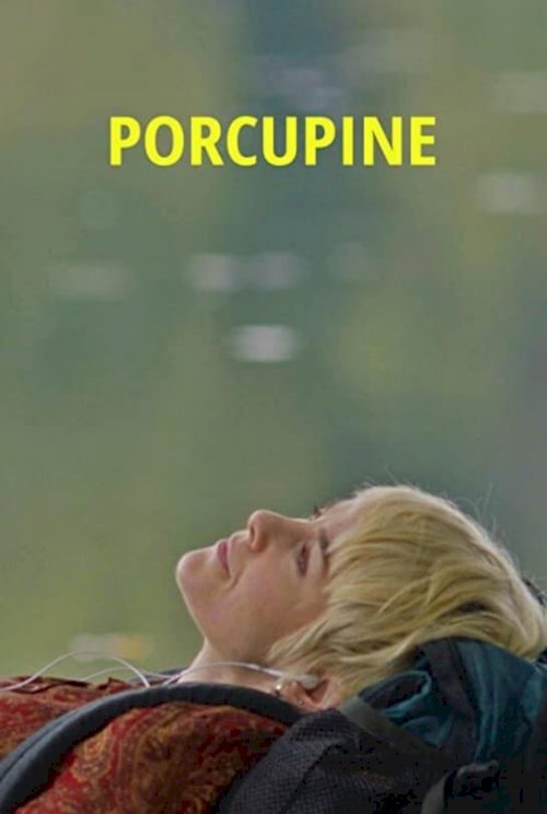 Adopting Audrey - Movie Poster Adopting Audrey - Movie Poster