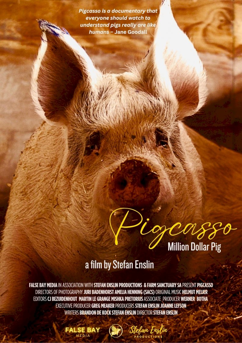 Pigcasso: Million Dollar Pig - Movie Poster Pigcasso: Million Dollar Pig - Movie Poster