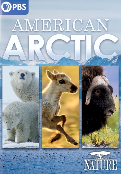 Nature: American Arctic - Movie Poster Nature: American Arctic - Movie Poster