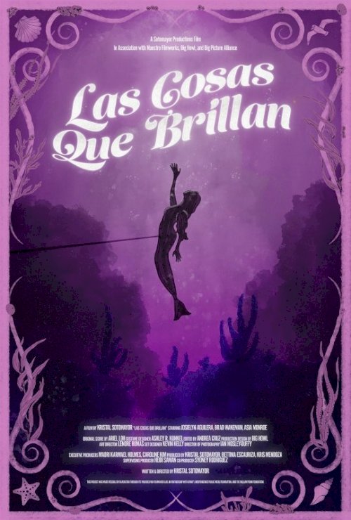 Las Cosas Que Brillan - Movie Poster Las Cosas Que Brillan - Movie Poster
